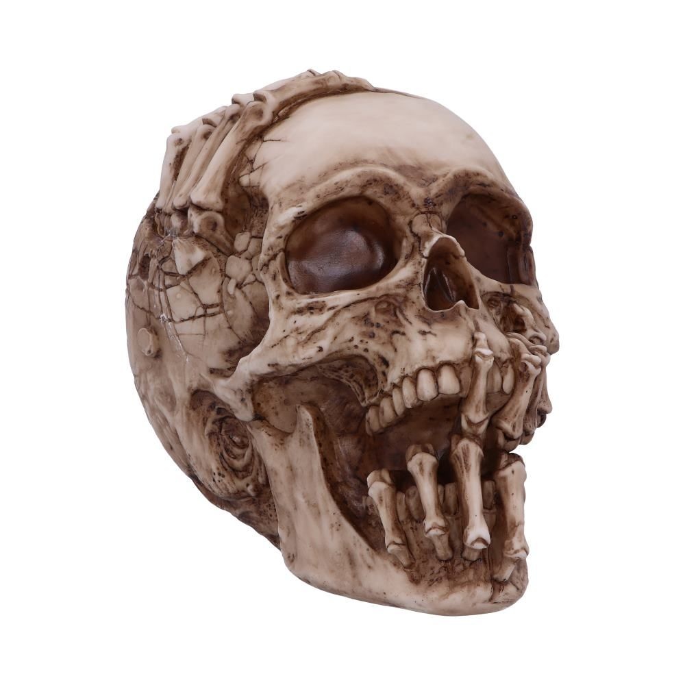 Nemesis Now - Breaking Out Skull Beeld/figuur - Schedel - Creme